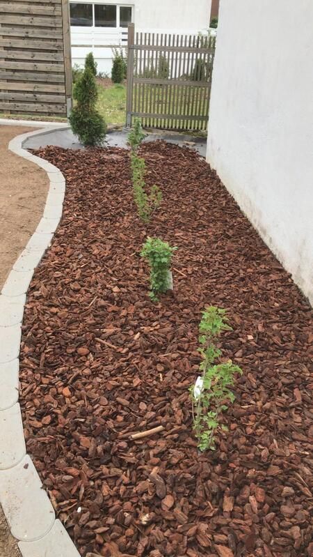 Ein mit Mulch und Pflanzen gefüllter Garten neben einem Haus.