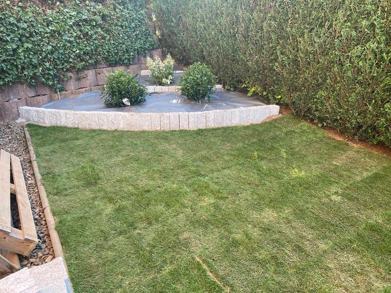 Ein üppiger grüner Rasen mit einer Bank in der Mitte.