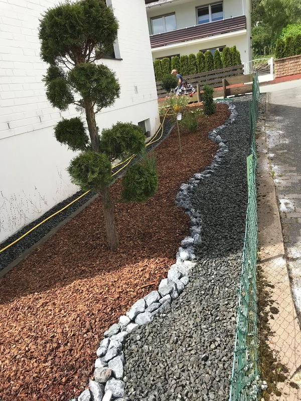 In einem Garten wächst neben einem Zaun ein Baum.