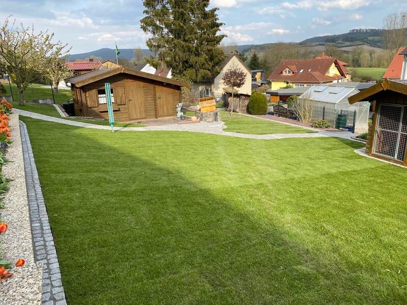 Ein üppiger grüner Rasen mit einem Holzschuppen im Hintergrund.
