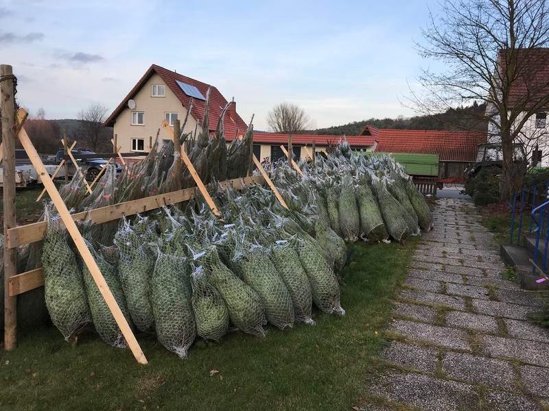 Ein Haufen Säcke mit Weihnachtsbäumen liegt auf dem Gras