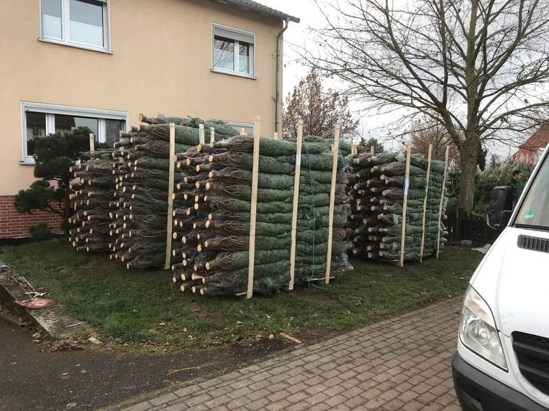 Ein weißer Lieferwagen parkt vor einem Stapel Weihnachtsbäume.