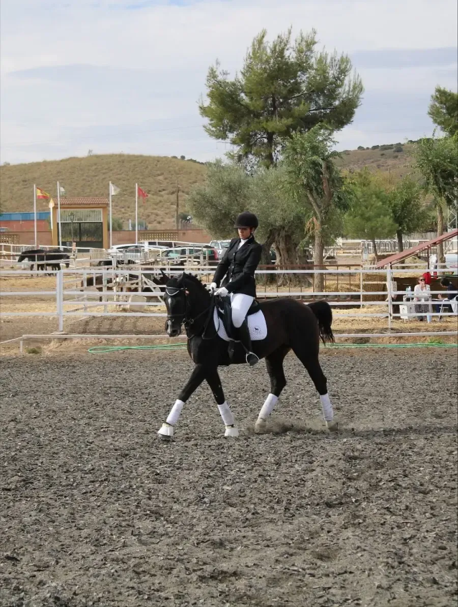 Una persona a caballo negro en un picadero. Lleva abrigo negro y pantalones blancos.