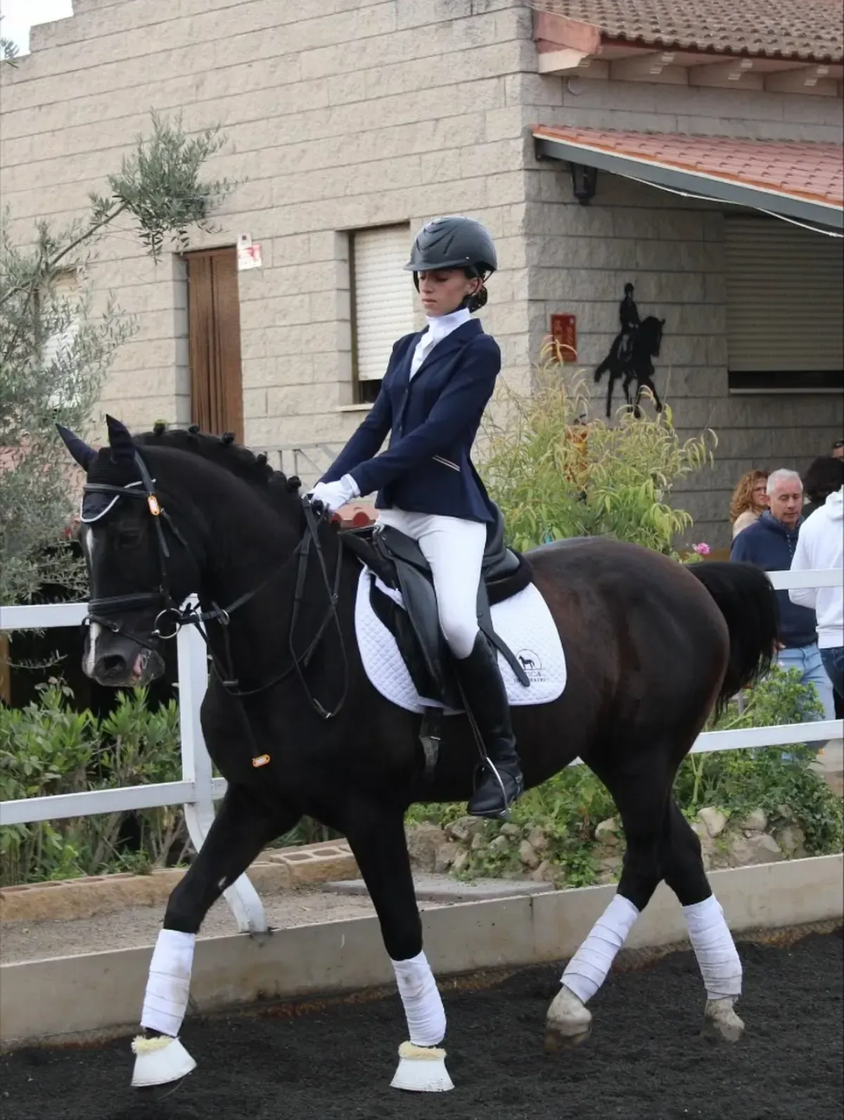 Jinete sobre un caballo negro practicando doma clásica. Lleva casco y chaqueta azul marino. Vendas blancas para las piernas.
