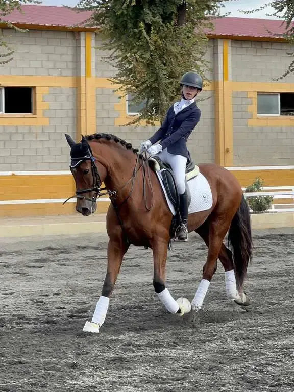 Joven jinete con abrigo azul sobre un caballo castaño realizando doma en una arena.