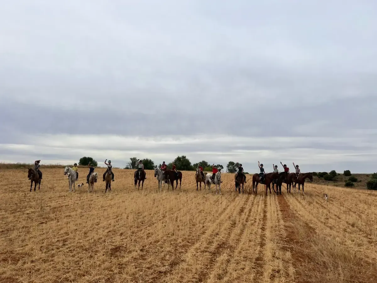 Grupo de personas mirando hacia abajo, reunidas alrededor de un caballo, probablemente en un establo.