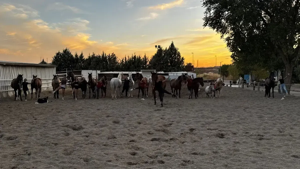 Los caballos se reúnen en un recinto de arena al atardecer. Varias personas se encuentran cerca.