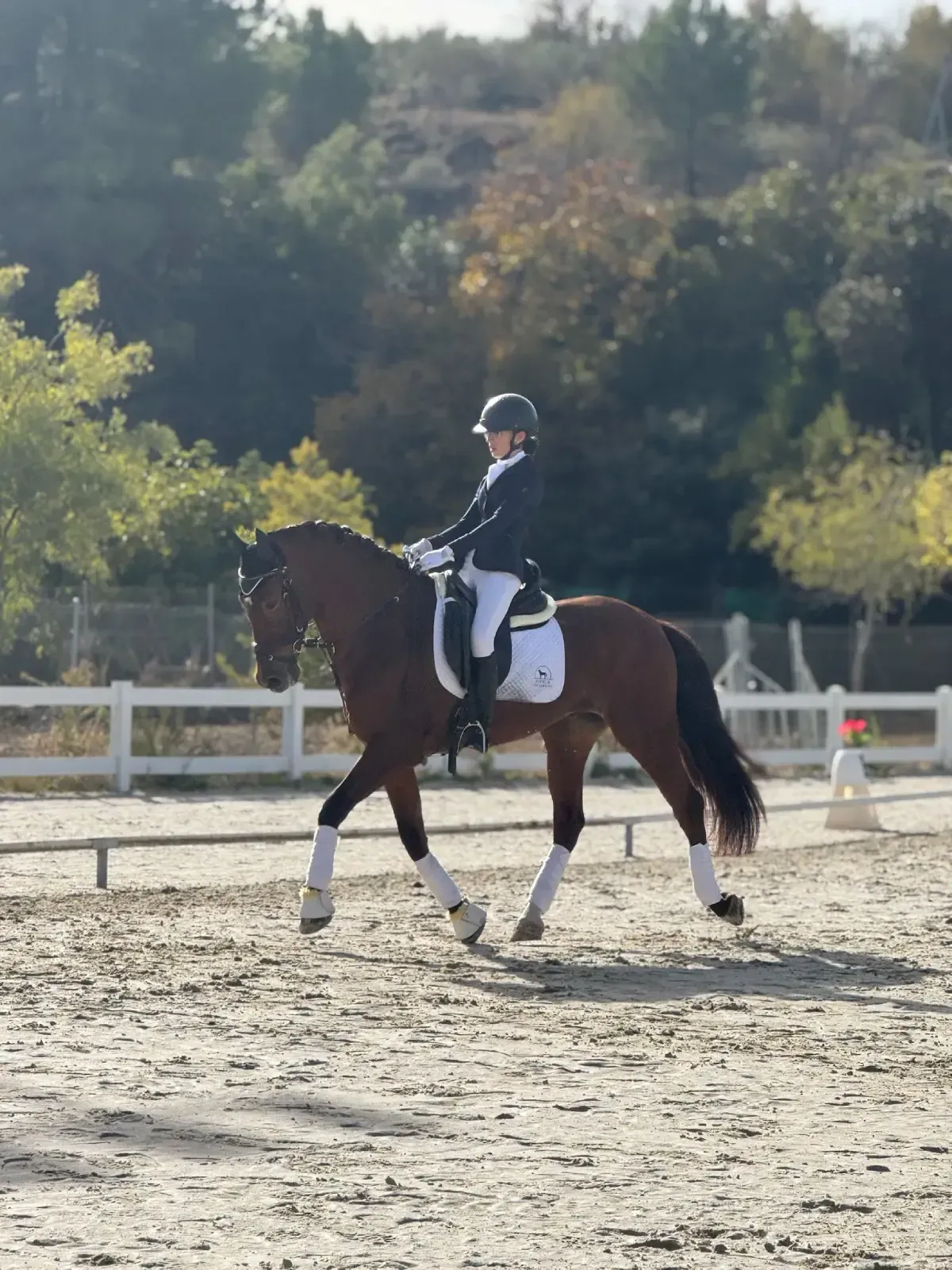 Cinco jinetes en caballos marrones, sonrientes, posando con ropa de montar al aire libre.