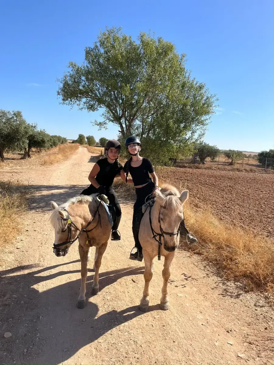Personas a caballo en un campo de hierba al atardecer. Siluetas recortadas, cielo dorado y caballos de colores claros.