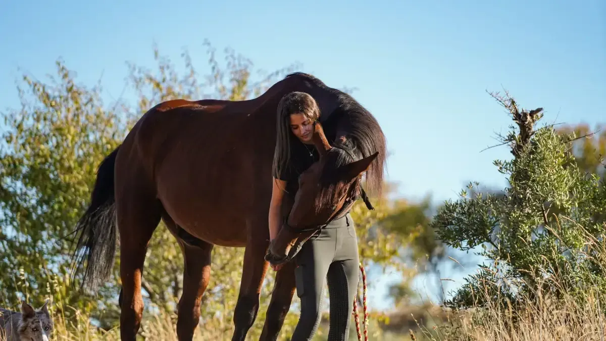 Mujer abrazando a un caballo marrón al aire libre en un día soleado.