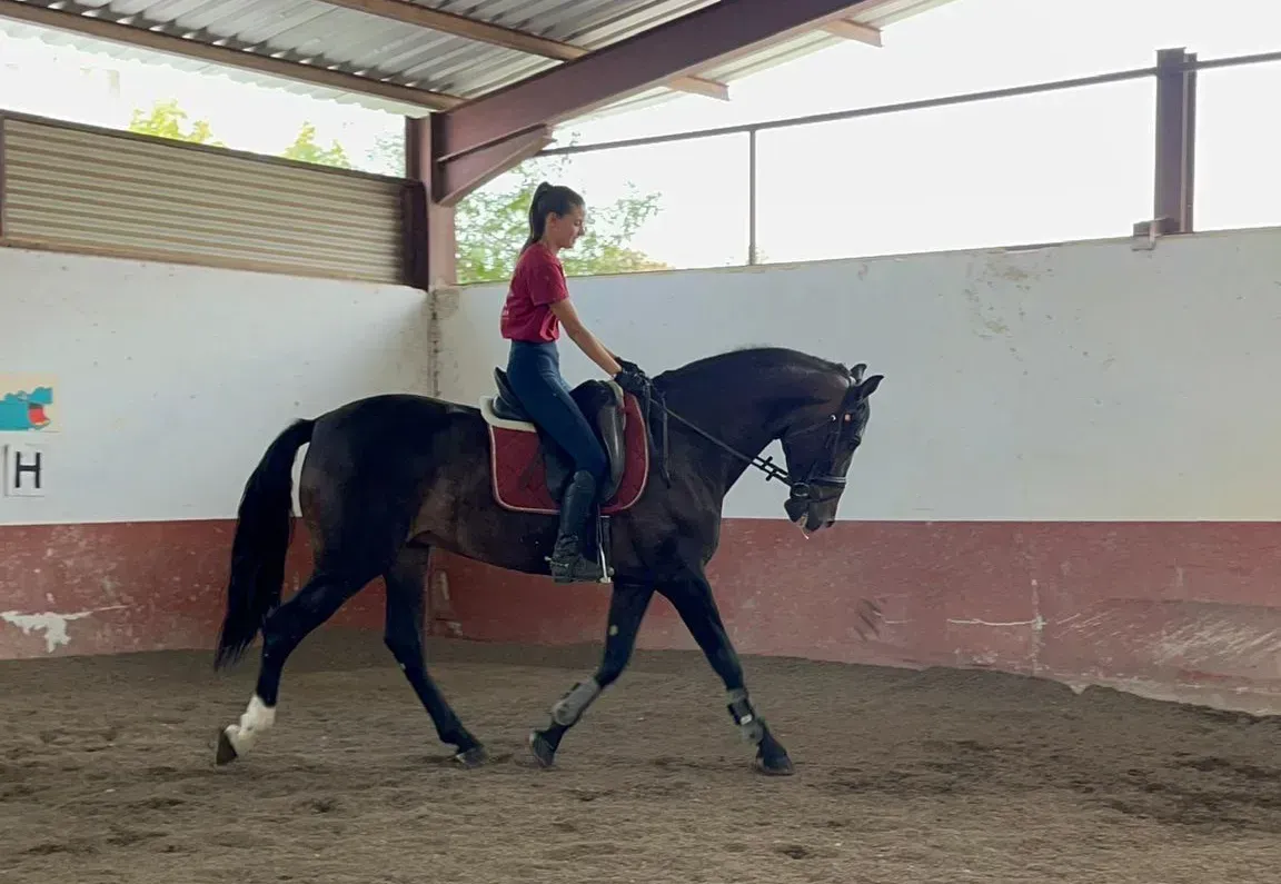 Dos personas disfrazadas posan junto a un caballo. Una vestida de extraterrestre con un bastón en la mano