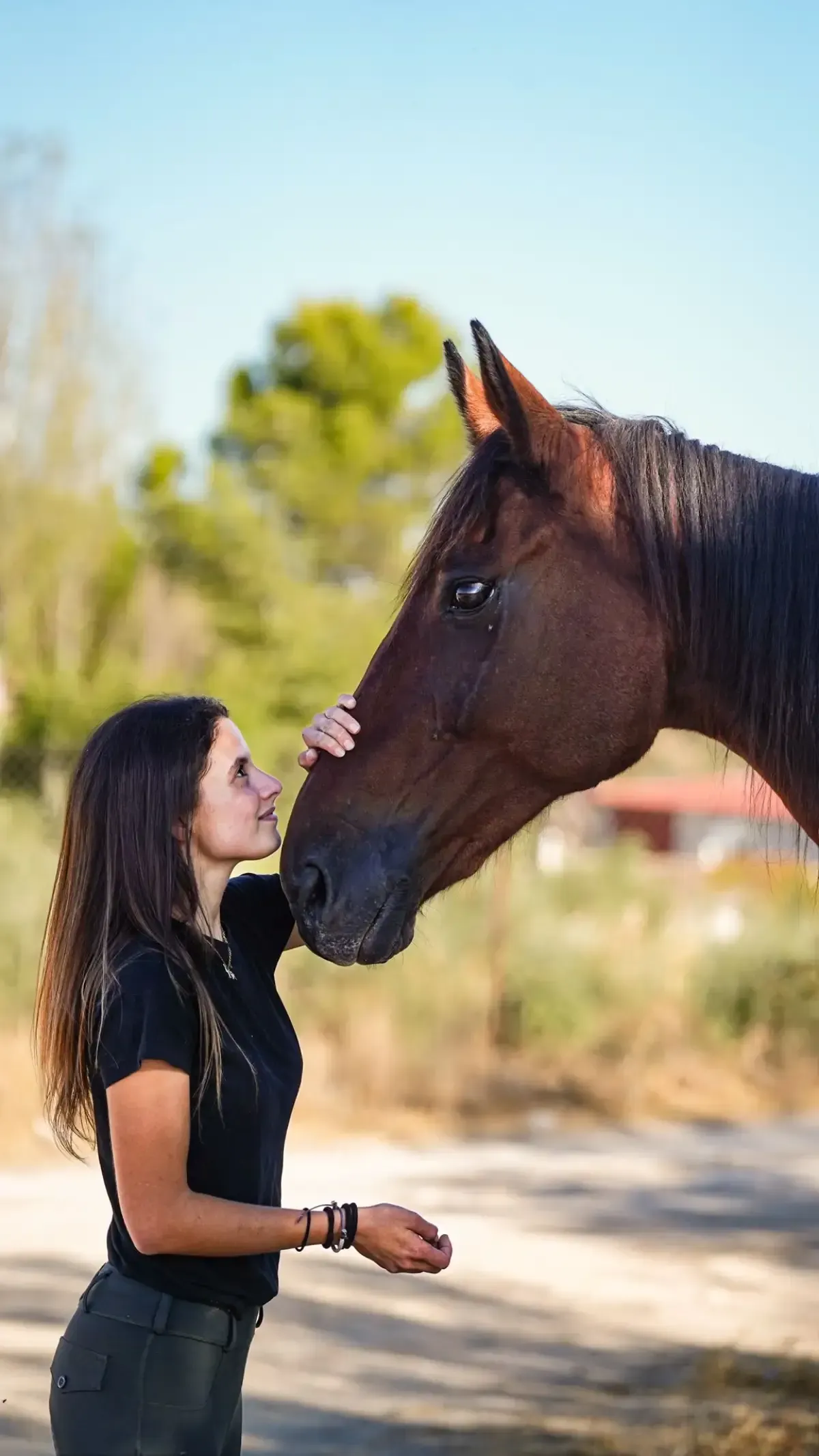 Mujer acariciando la cara de un caballo marrón al aire libre; cielo azul, día soleado.