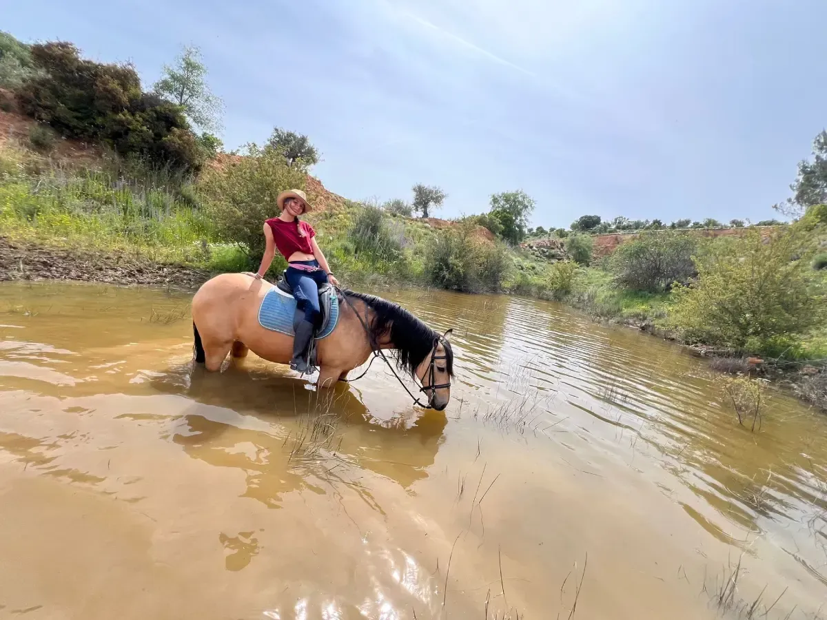 Una mujer cabalga sobre un caballo color canela por el agua. Están cerca de arbustos verdes y el cielo es azul.