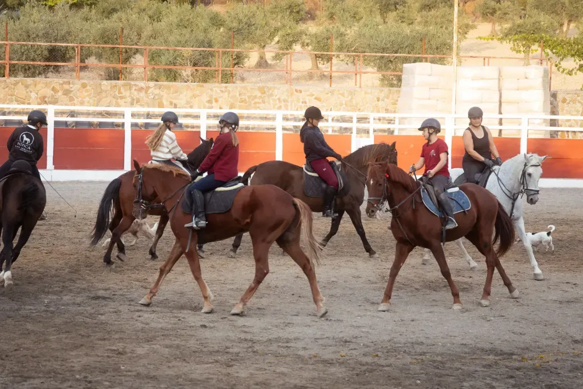 Caballos y jinetes en una pista cubierta, iluminados por luces superiores, preparándose para un evento.