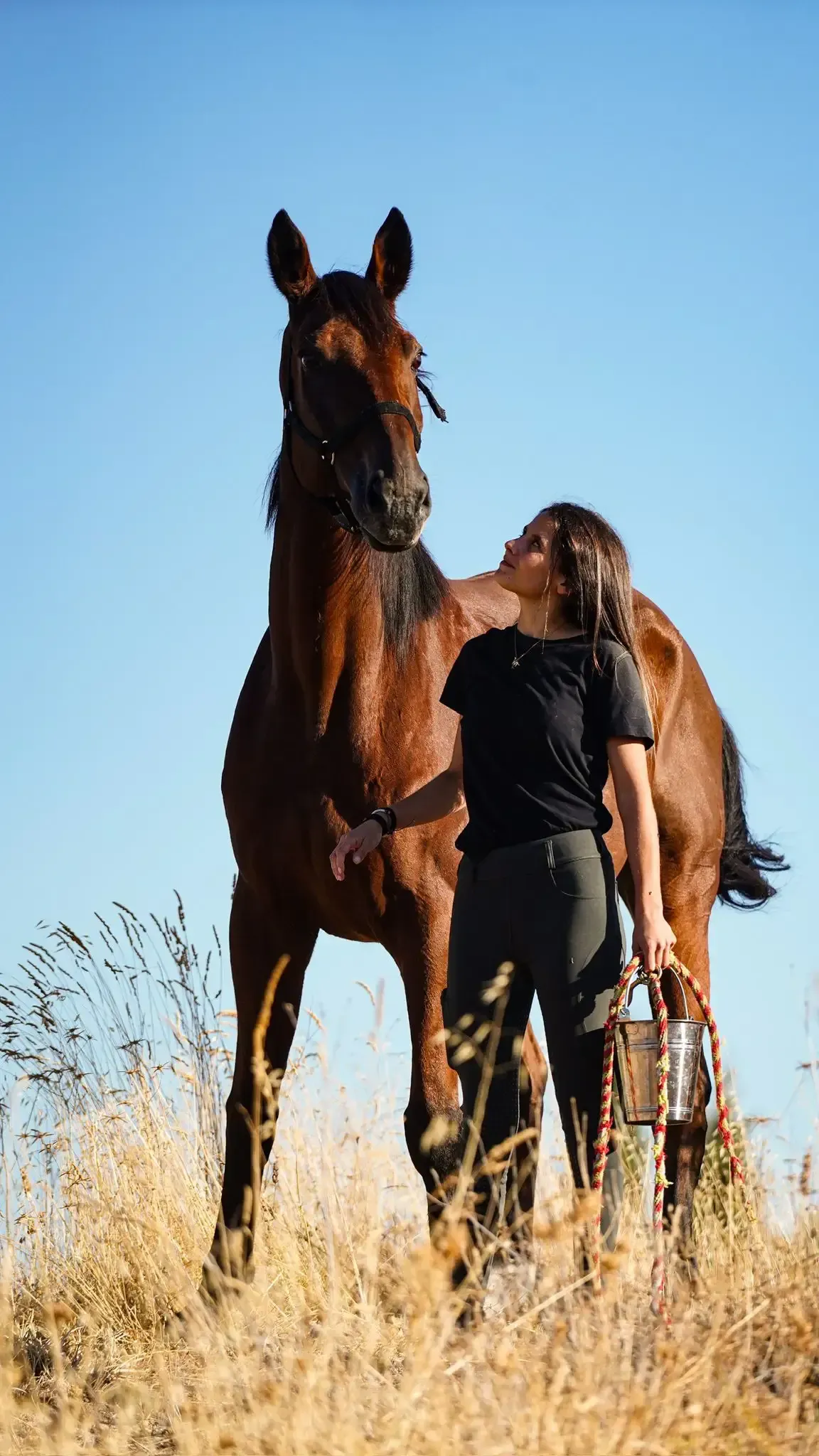 Una mujer y un caballo marrón de pie en un campo de hierba seca bajo un cielo azul. La mujer toca la cara del caballo.