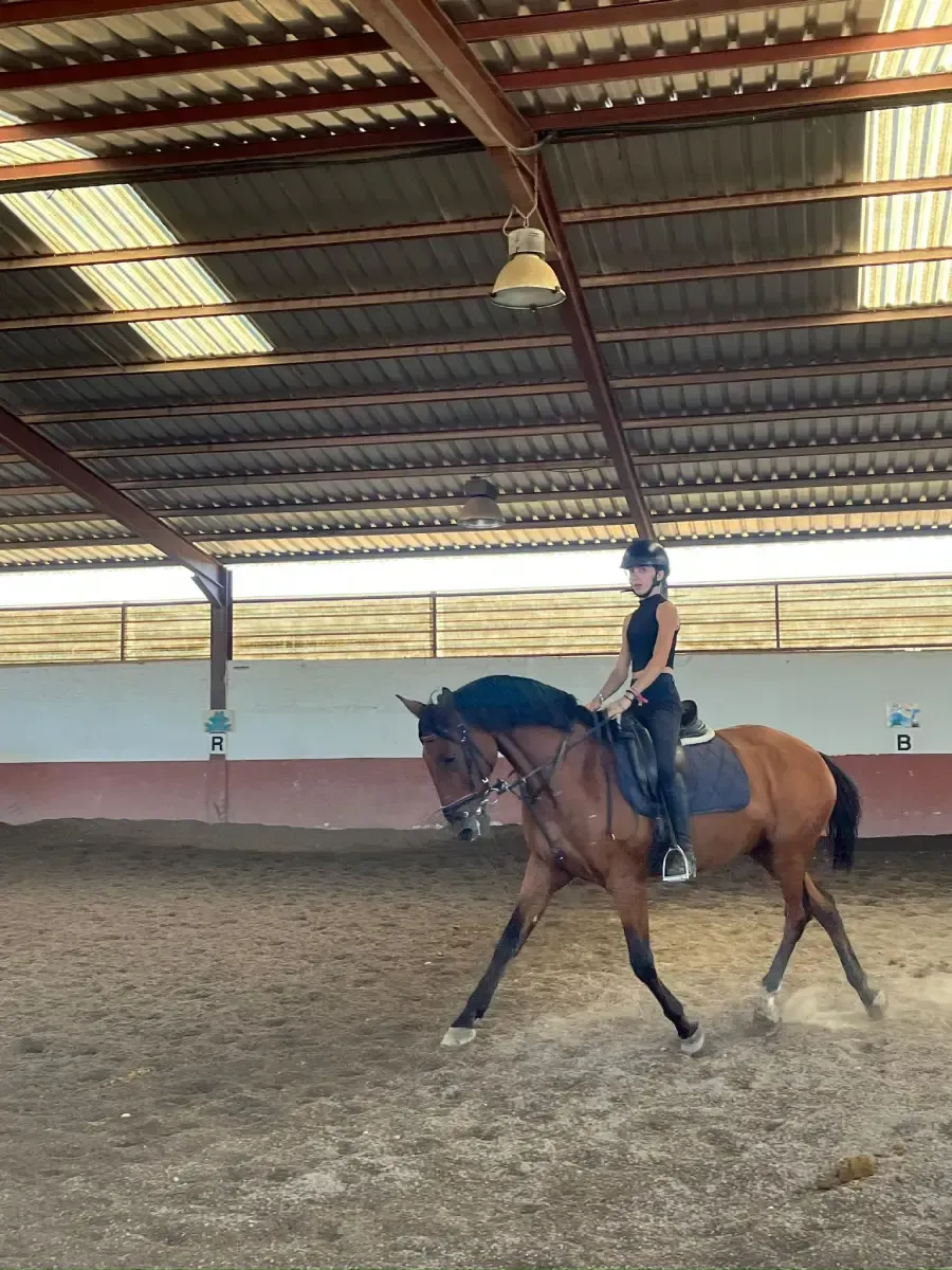 Caballos y jinetes en fila, recorriendo un campo al atardecer. Luz dorada, nubes dispersas.