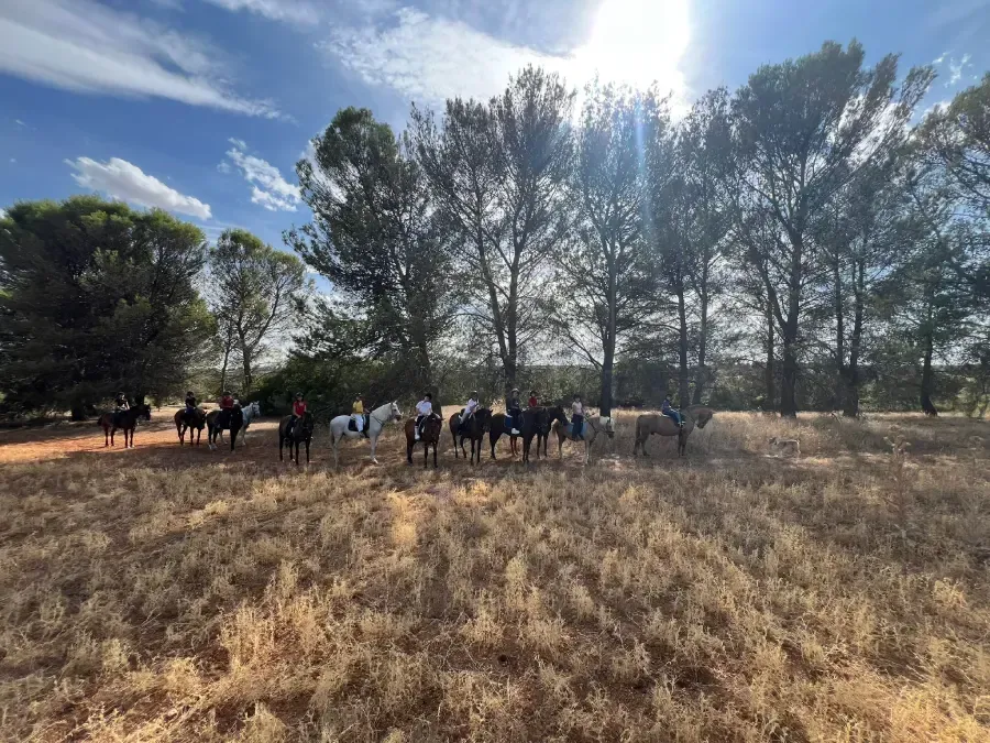 Caballos con jinetes se encuentran en un campo con árboles altos bajo un cielo soleado.