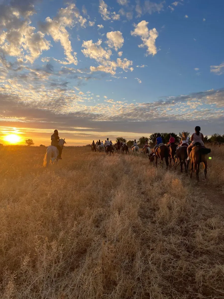 Grupo de personas cabalgando por un campo al atardecer.