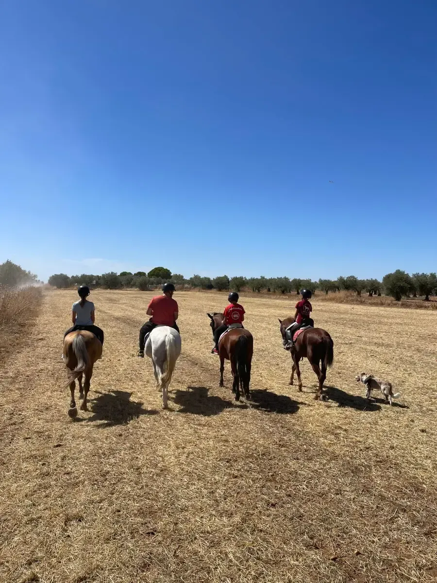 Cuatro personas montan a caballo por un campo seco bajo un cielo azul, con un perro siguiéndolos.