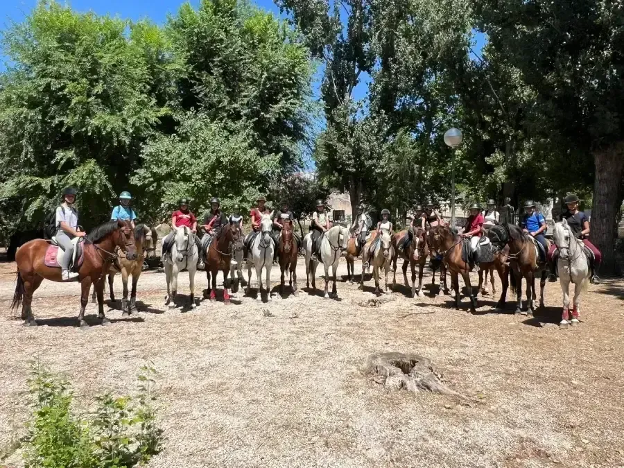 Un grupo de personas a caballo posan juntas en un parque bajo los árboles en un día soleado.