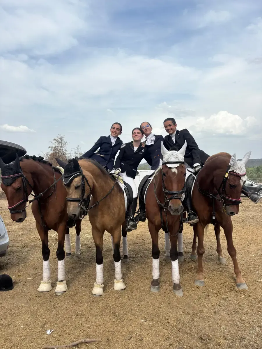 Mujer acariciando la cara de un caballo marrón al aire libre; cielo azul, día soleado.