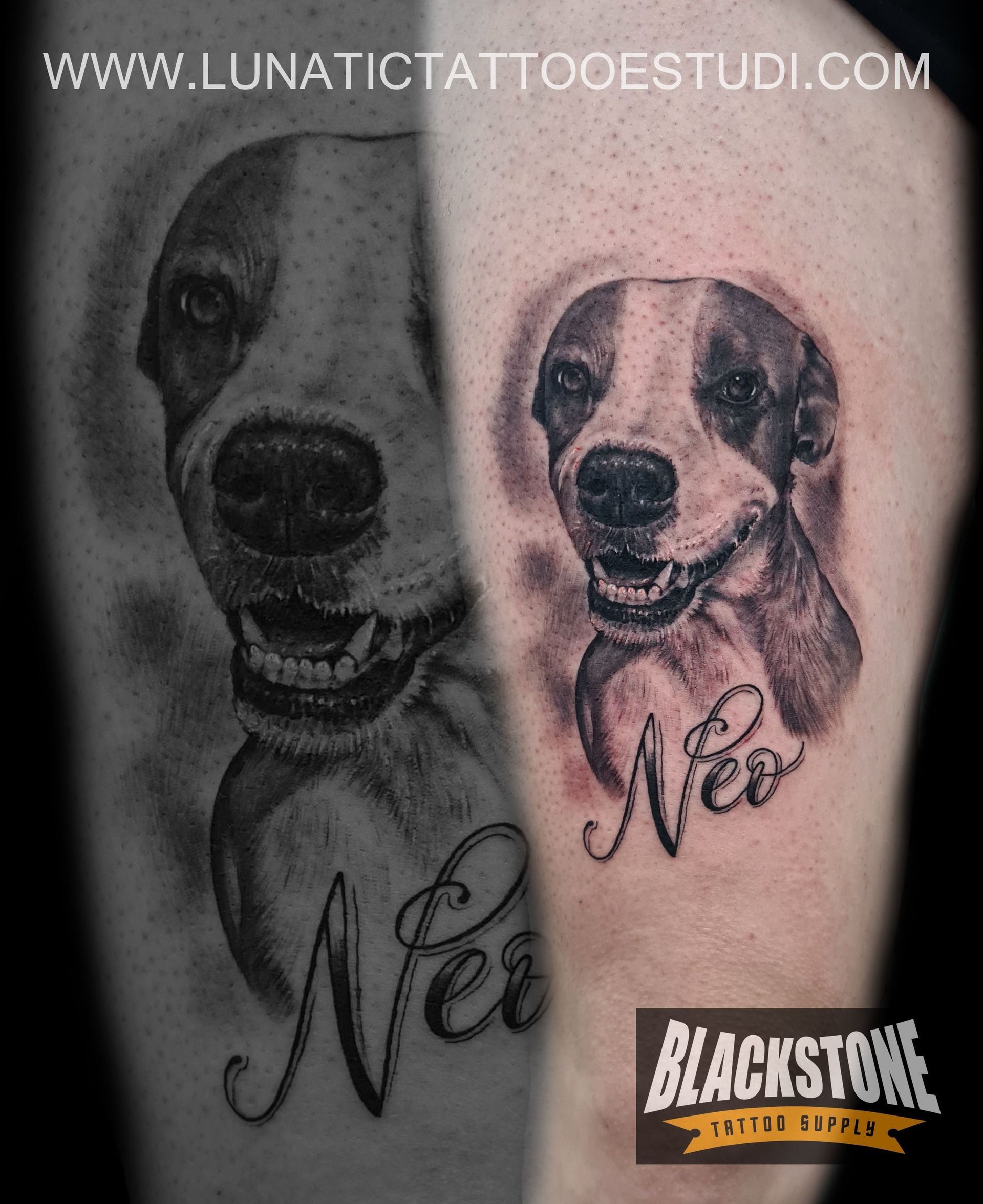 Un tatuaje con el retrato de un perro en el brazo de una persona, con el nombre