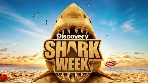 Logotipo de Discovery Shark Week sobre la mandíbula de un tiburón al atardecer, con el océano, gaviotas 