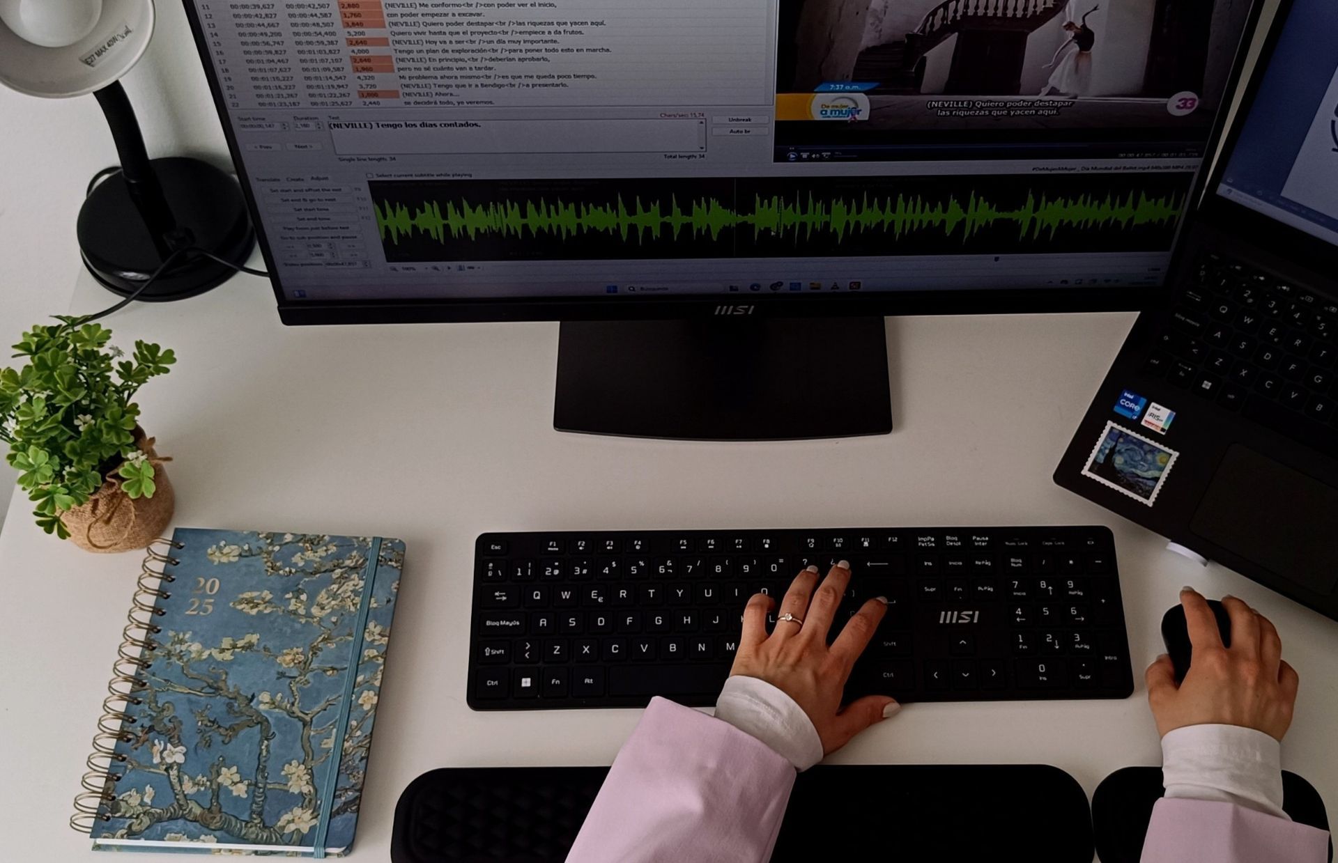 Traducción y sincronización de subtítulos para contenidos audiovisuales en Valencia