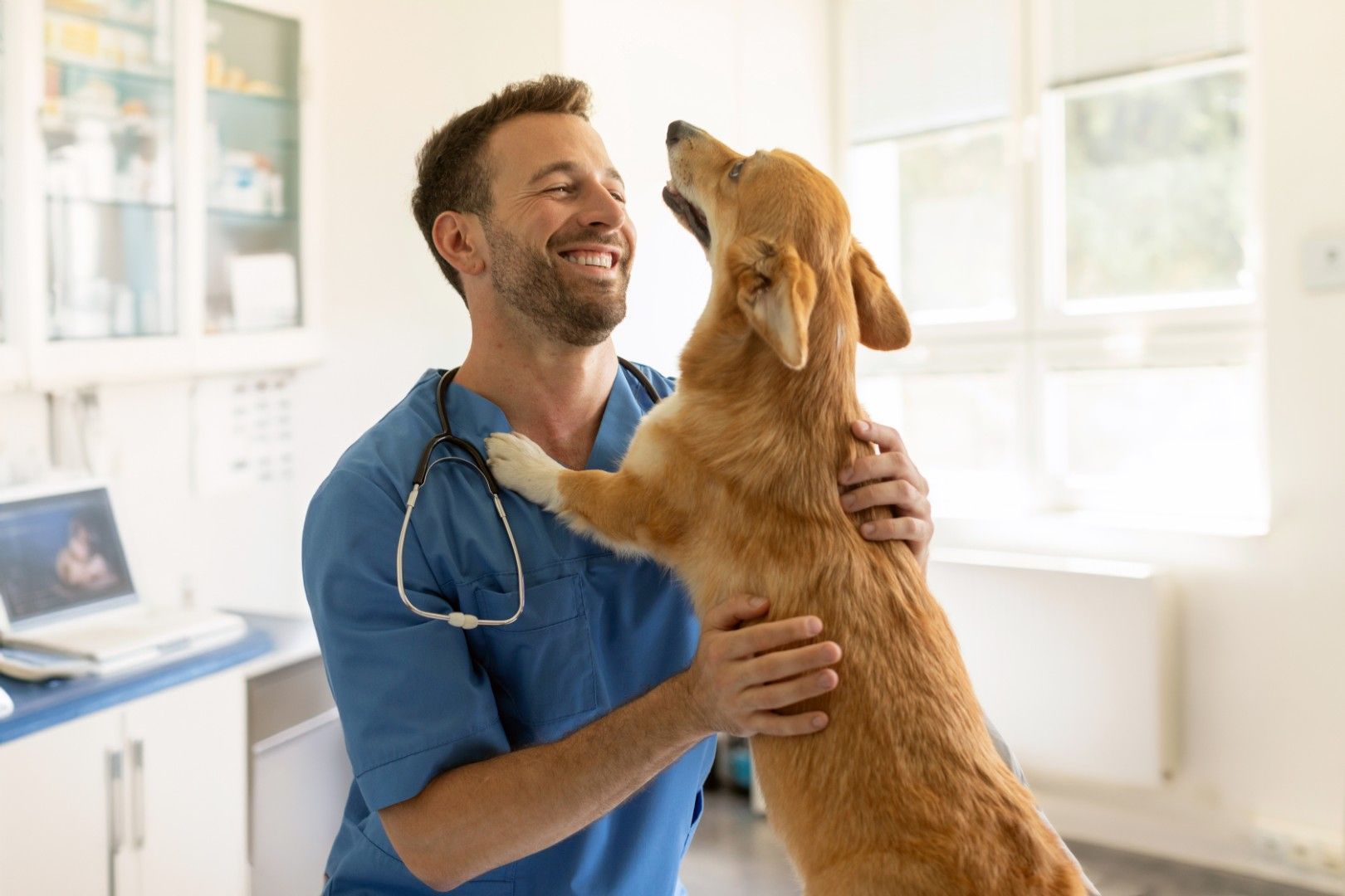 Un veterinario sonriente abrazando a un golden retriever en una sala luminosa de la clínica