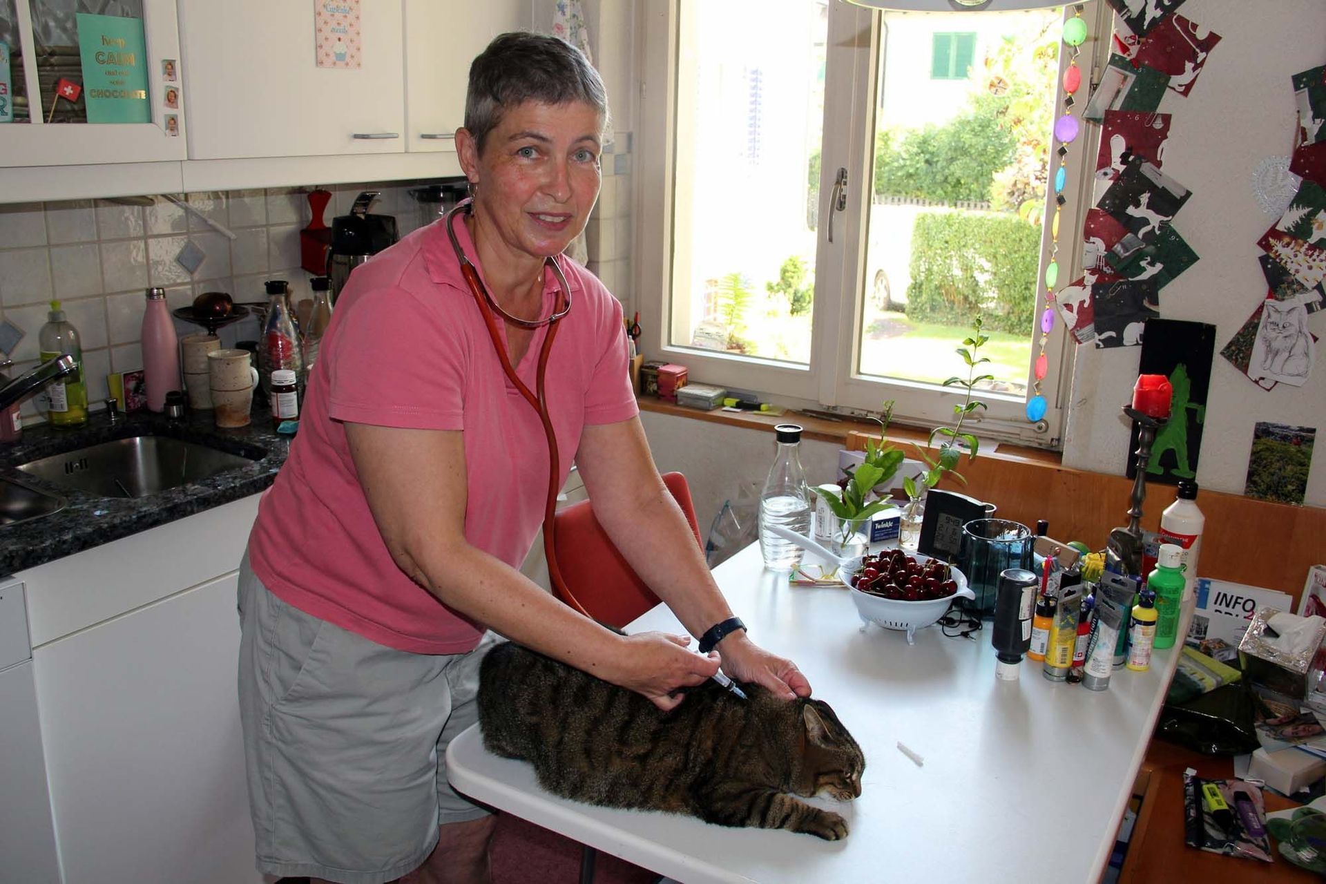 Eine Frau untersucht mit einem Stethoskop eine getigerte Katze auf einem Küchentisch. Küchenszene, im Hintergrund ein Fenster.