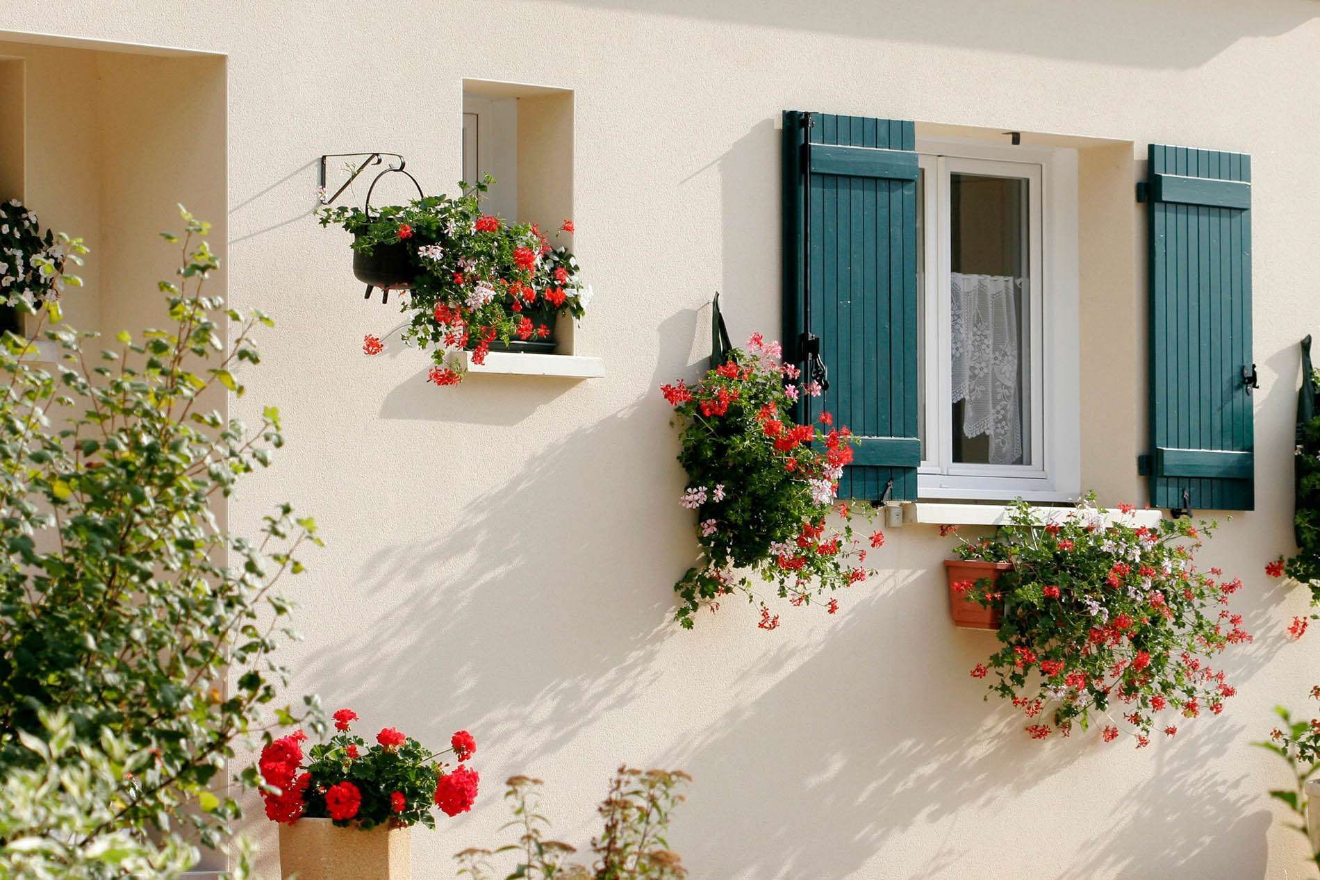 Fenêtre en PVC avec des fleurs sur le rebord
