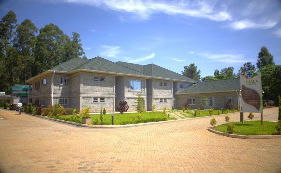 Large gray building with green roof, landscaped yard, and brick driveway under blue sky.
