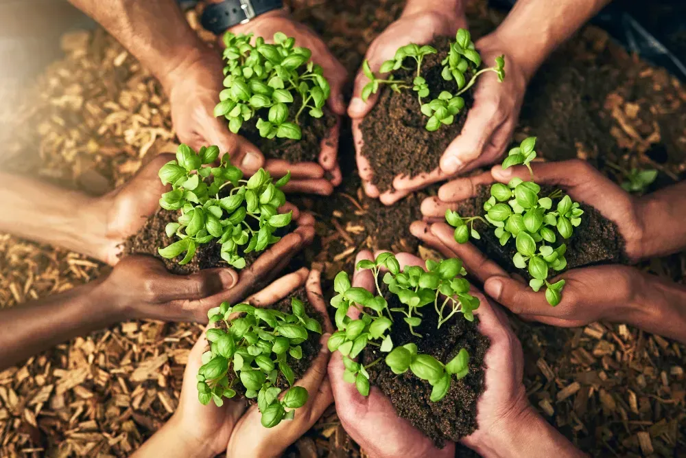 A group of people are holding small plants in their hands.