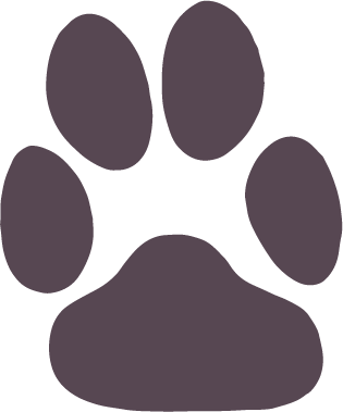 Vente De Chiots Yorkshire Shiba Inu Et Bien D Autres Au Cannet Vente De Chiots Yorkshire Shiba Inu Et Bien D Autres Au Cannet