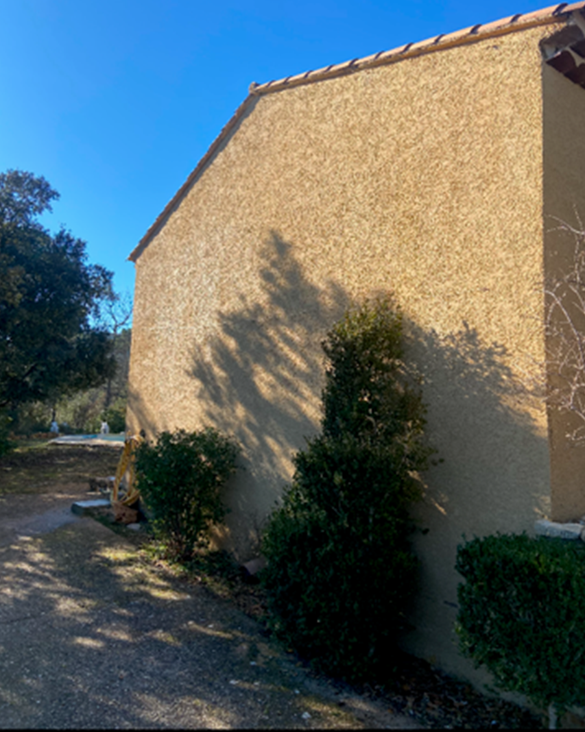 Mur extérieur d'une maison bordé de buissons