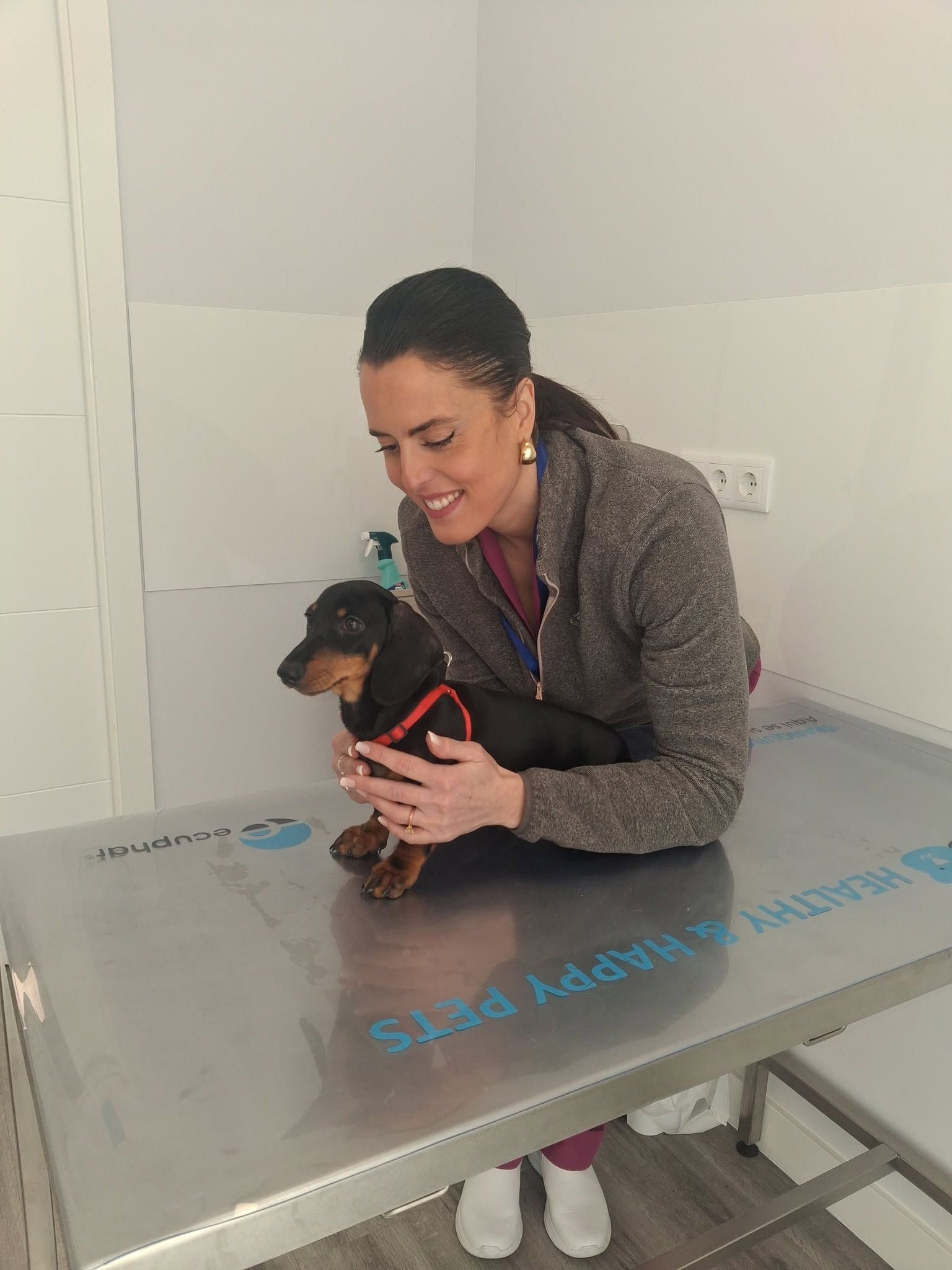 Una persona sonríe y sostiene a un perro pequeño sobre una mesa de exploración de acero inoxidable en una clínica veterinaria.