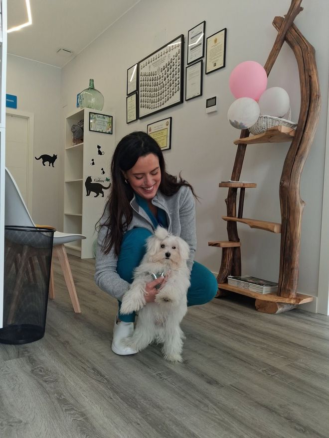 Una mujer se arrodilla junto a un perro blanco y esponjoso en una habitación luminosa con cuadros enmarcados y globos.