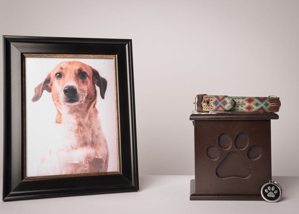 Retrato de perro enmarcado junto a una urna conmemorativa para mascotas con forma de huella de pata marrón y tapa estampada.