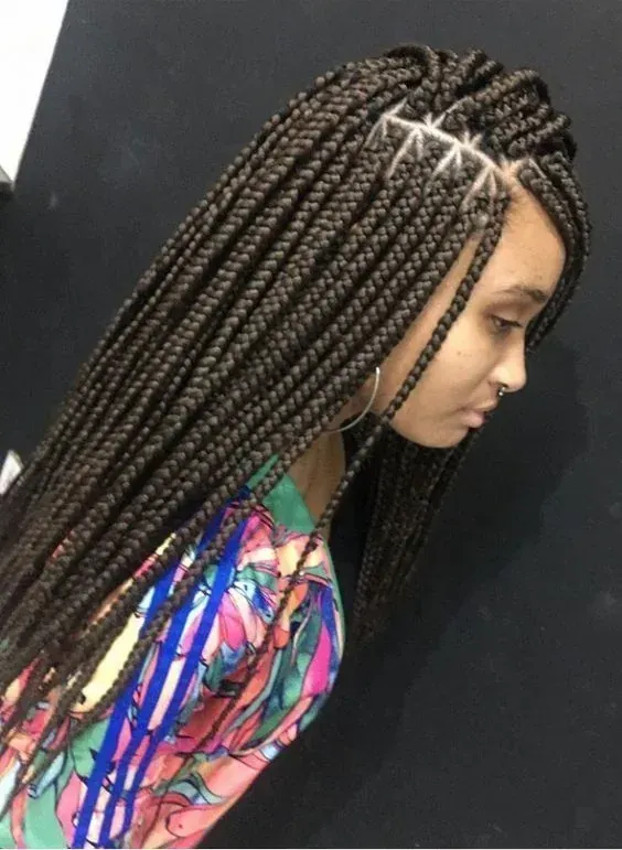 Mujer con trenzas marrones, vistiendo una camisa colorida, posando.