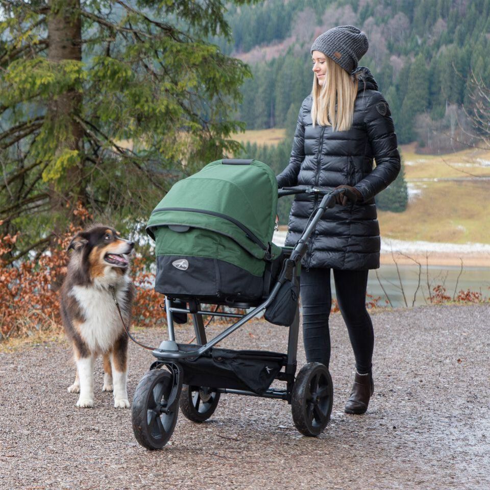 Frau mit Hund und Kinderwagen