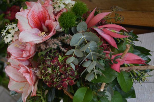 Winterpflanzen, Winterblumen Blumenwelt Bauer