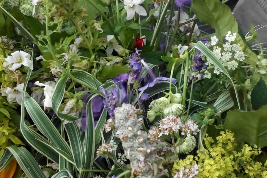 Stauden Blumenwelt Bauer