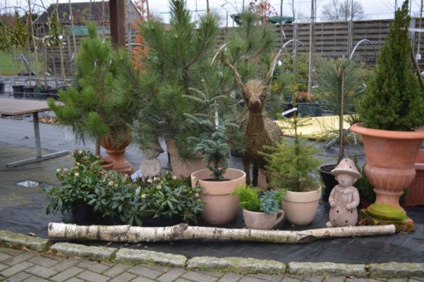 Baumschule Blumenwelt Bauer