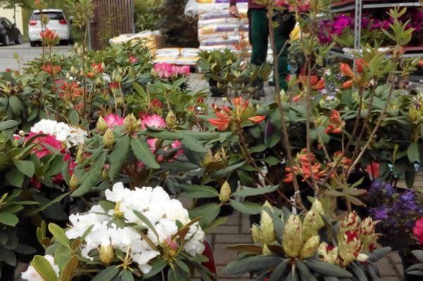 Baumschule Blumenwelt Bauer