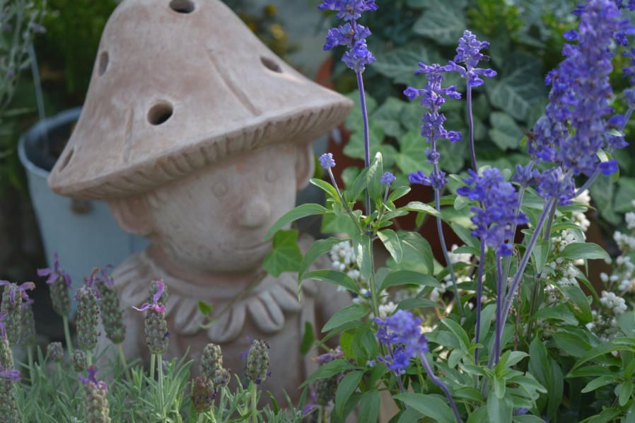 Stauden Blumenwelt Bauer