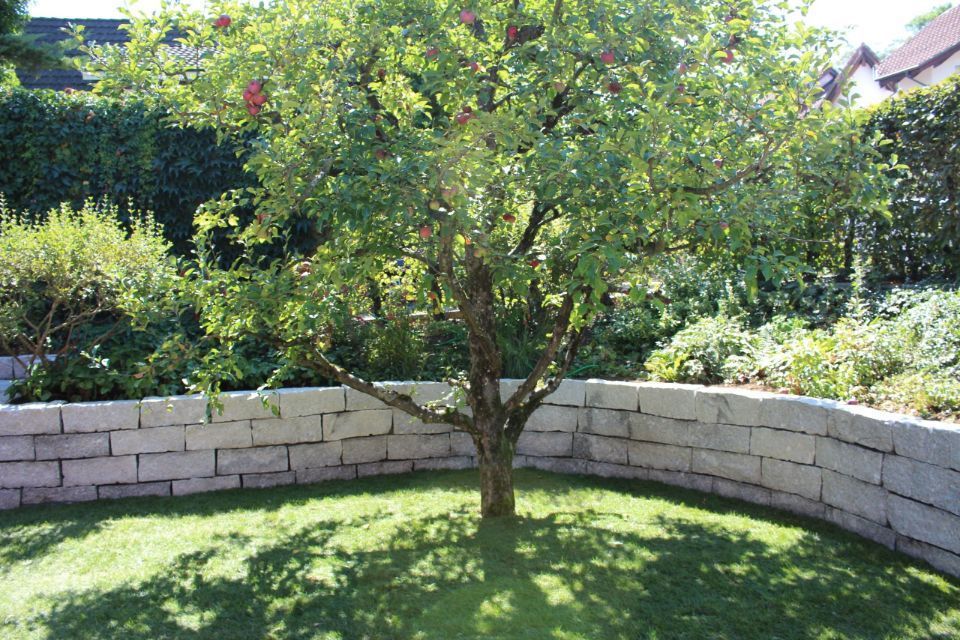 De Mattia Gartenbau – Garten mit Mauer