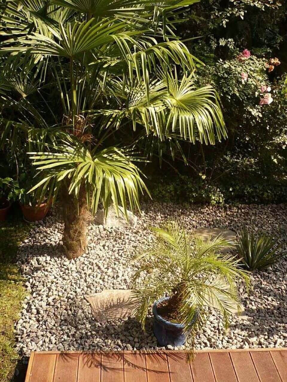 De Mattia Gartenbau – Garten