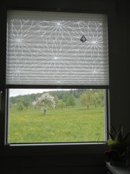 Insektenschutz, Innenbeschattung, Insektenbekämpfung, Obere- und Untere Seetal, Luzern, Aargau