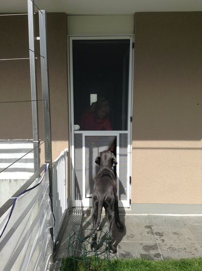 Insektenschutz, Innenbeschattung, Insektenbekämpfung, Obere- und Untere Seetal, Luzern, Aargau