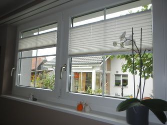 Insektenschutz, Innenbeschattung, Insektenbekämpfung, Obere- und Untere Seetal, Luzern, Aargau